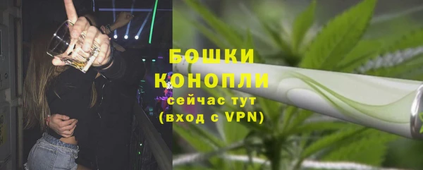 соль ск Горнозаводск