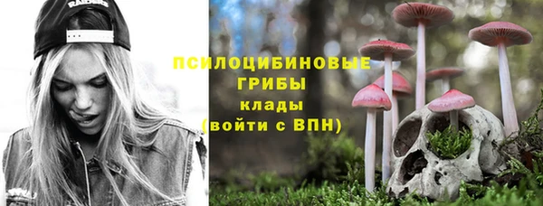 соль ск Горнозаводск