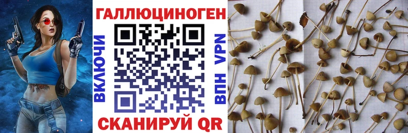 Псилоцибиновые грибы Magic Shrooms блэк спрут сайт Плёс магазин