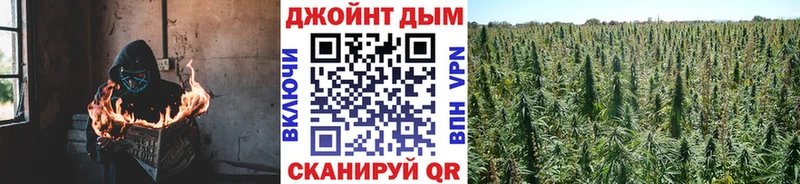 Марихуана тримм Плёс